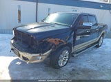 Ram  Longhorn 1C6RR7PM8GS109827 снимка