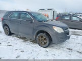 Chevrolet Equinox Ls 2GNALBEK1D6165819 снимка