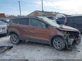 Ford Escape 1FMCU9G95HUA33716 снимка