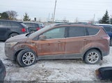 Ford Escape 1FMCU9G95HUA33716 снимка