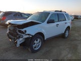 Ford Escape Xlt 1FMCU9DG3CKC20685 fotografie