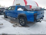 Toyota Tacoma Dbl Cab/Sr5/Trd Sport/Or 5TFDZ5BN8HX017872 fotografie