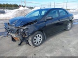 Toyota Corolla S/Le 2T1BU4EE4DC071464 снимка