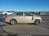 Toyota Corolla Ce 2T1BU4EE1DC924841 fotografie