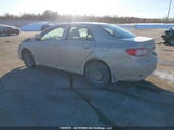 Toyota Corolla Ce 2T1BU4EE1DC924841 снимка