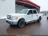 Ford F150 Supercrew 1FTFW1EF5EFC98318 снимка