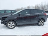 Ford Escape Se 1FMCU0GX5DUA95993 снимка