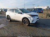 Toyota Rav4 Le 2T3ZFREV8JW512259 fotografie