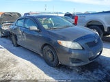 Toyota Corolla S/Le/Xle 2T1BU4EE7AC195272 снимка