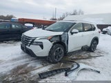 Nissan Rogue Sv/Rock Creek JN8BT3BB9SW167400 fotografie