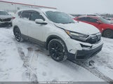Honda Cr-V Touring 2HKRW2H99LH239123 fotografie