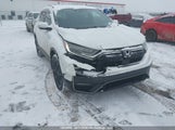 Honda Cr-V Touring 2HKRW2H99LH239123 photo