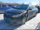 Toyota Corolla 2T1BU4EE7AC391695 снимка