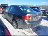 Toyota Corolla 2T1BU4EE7AC391695 снимка