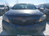 Toyota Corolla 2T1BU4EE7AC391695 снимка
