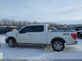 Ford F-150 Xlt 1FTFW1E52MFC56338 снимка