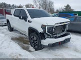 GMC Sierra K1500 At4 1GTUUEELXSZ330281 photo