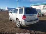 Ford Escape Limited 1FMCU94G39KC40301 снимка