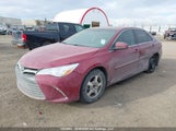 Toyota Camry Xle 4T1BF1FK6GU581234 снимка