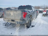 Ford F-150 1FTEW2LP6SKF58516 снимка