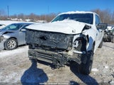 Ford F-150 Lightning Pro 1FT6W1B76RWG13159 fotografie