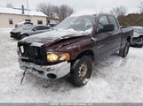 Dodge Ram  St/Slt 1D7HA18D84J251304 photo