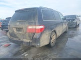 Honda Odyssey 5FNRL38767B501830 снимка