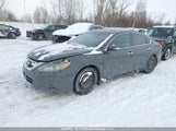 Nissan Altima 1N4AL3AP6JC255248 снимка
