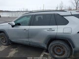 Toyota Rav4 Xle 2T3R1RFV0KW019402 photo