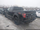 Ford F-150 Fx4 1FTFW1ET3DKD17847 снимка