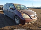 Honda Odyssey Ex 5FNRL38478B502959 снимка