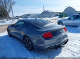 Ford Mustang Ecoboost 1FA6P8THXM5130145 снимка