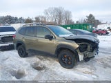 Subaru Forester Wilderness JF2SKELC5PH439455 снимка