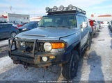 Toyota Fj Cruiser JTEBU11F070048951 photo