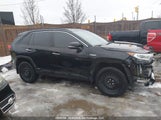 Toyota Rav4 Hybrid Limited 2T3DWRFV2KW016447 fotografie