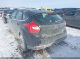 Ford Focus Titanium 1FADP3N21EL328984 снимка