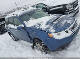 Subaru Forester 2.5Xt Premium JF2SHHEC6CH402566 fotografie