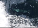 Hyundai Elantra Preferred With Sun And Safety Package Auto Ivt KMHD84LF8LU101085 снимка