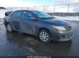 Toyota Corolla S/Le 2T1BU4EE4DC941262 снимка