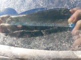 Honda Civic Ex 4Dr 2HGFB2F57DH000406 снимка