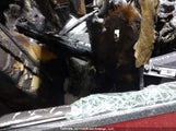 Nissan Rogue Sv JN8BT3BB5NW331830 снимка