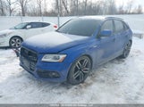 Audi Sq5 WA1VCAFP3HA006883 fotografie