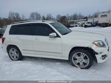 Mercedes-Benz Glk 250 Bluetec WDCGG0EB5EG258995 photo