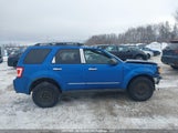 Ford Escape Xlt Automatic 1FMCU0DG1BKC67255 photo