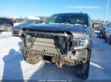 GMC Sierra  Elevation 1GTU9CED7LZ135707 fotografie