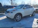 Nissan Juke S/Sv/Sl/Nismo JN8AF5MV7FT555187 fotografie