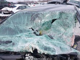 Chevrolet Volt 1G1RA6E48DU113219 снимка