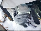 Hyundai Elantra Sel Sport KMHLM4DG5SU003242 снимка