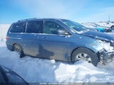 Honda Odyssey Ex 5FNRL38487B503469 снимка