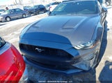 Ford Mustang 1FATP8UH5P5104235 снимка